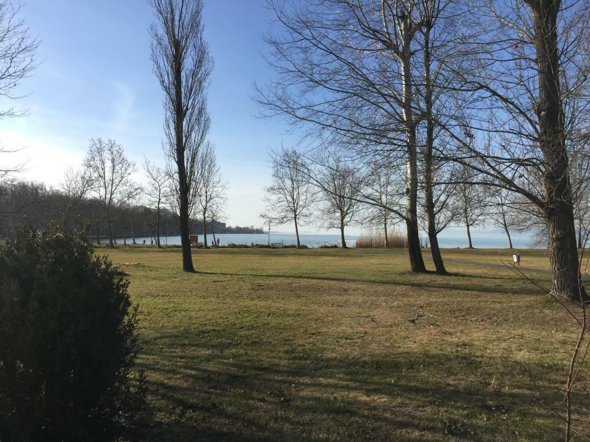 Tamas Sziveben- Egesz Evben Nyitva! Balatonfoldvar